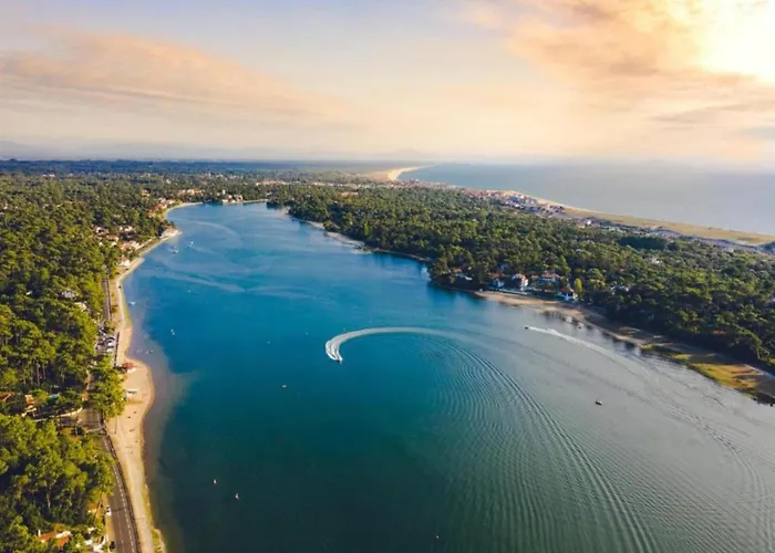 In With Pools & Vineyards *